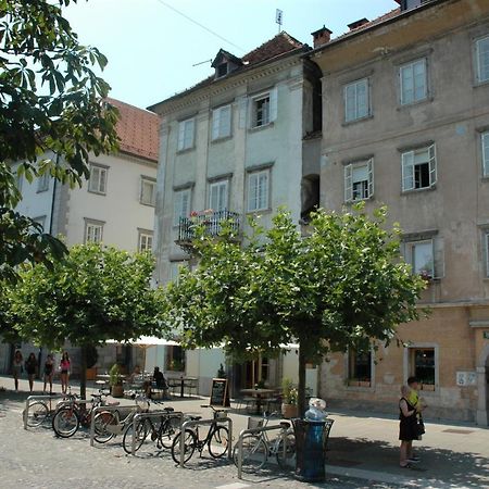 Vitez Apartment II Ljubljana Extérieur photo