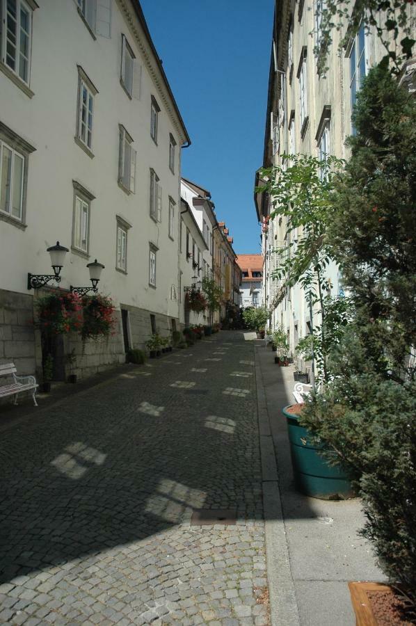 Vitez Apartment II Ljubljana Extérieur photo
