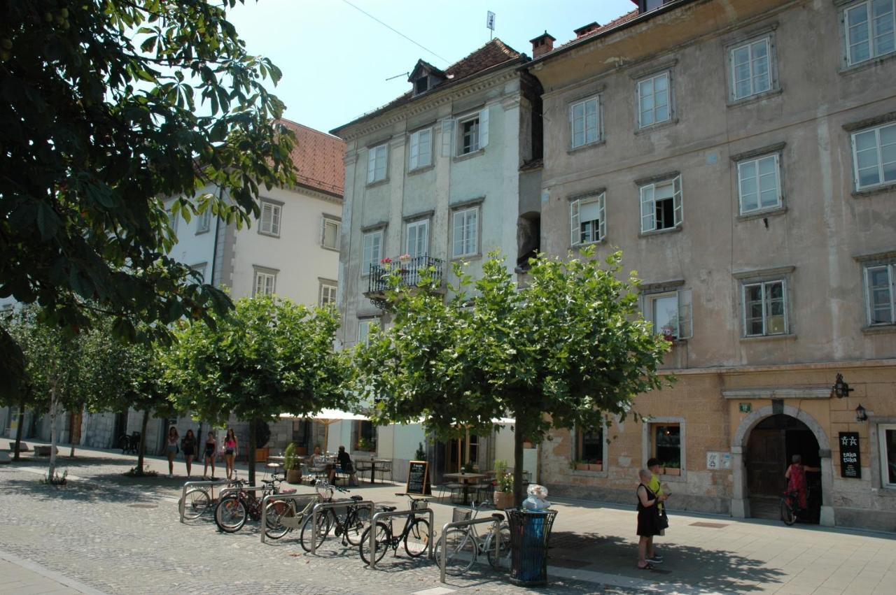 Vitez Apartment II Ljubljana Extérieur photo